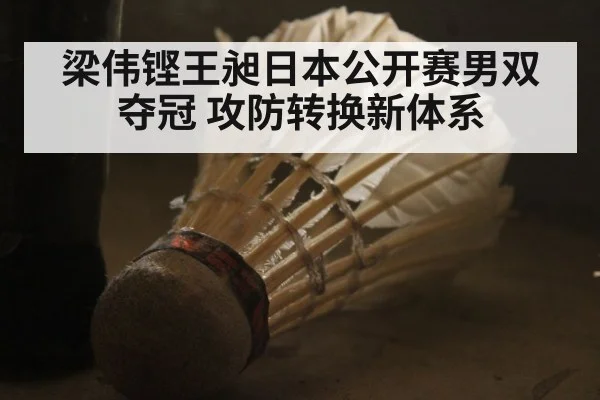 梁伟铿王昶日本公开赛男双夺冠 攻防转换新体系
