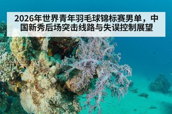 2026年世界青年羽毛球锦标赛男单，中国新秀后场突击线路与失误控制展望